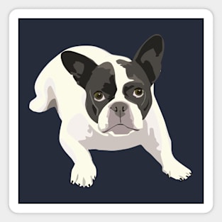 Black and White French Bulldog - Vector Art Portrait Magnet